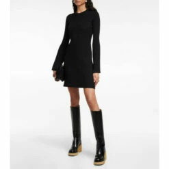 ChloƩ Ribbed-knit Wool And Cashmere Dress